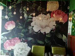 -喵店&猫咖