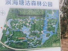 -塘沽森林公园