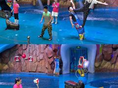 -烟台海昌鲸鲨海洋公园