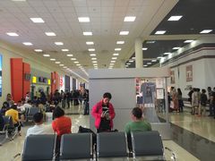 -谢列梅捷沃国际机场
