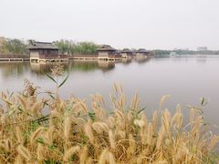-杭州湾海上花田景区