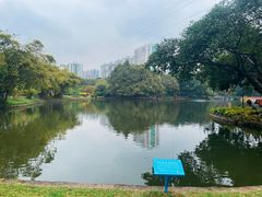 -晓港公园