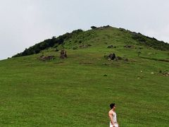 -大姆山草场
