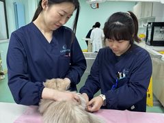 -北京观赏动物医院·24小时大型综合·猫专科·异宠专科