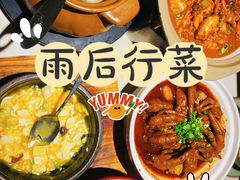 -雨后行菜(报慈北路店)