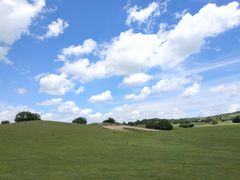 -塞罕坝国家级自然保护区