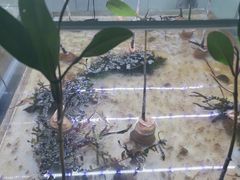 -海南热带海洋学院(三亚校区)