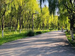 -东郊湿地公园