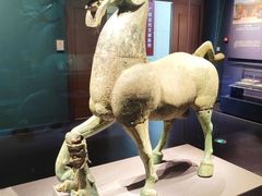 -广西壮族自治区博物馆