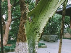 -城隍阁