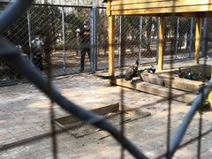 -长白岛森林公园