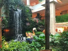 -白天鹅宾馆·流浮阁咖啡厅