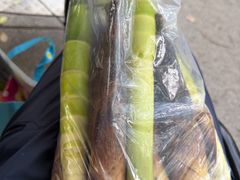 -同里国家湿地公园