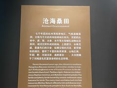-河姆渡遗址博物馆
