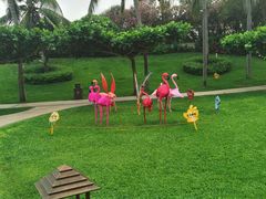 -三亚亚龙湾天域度假酒店