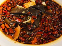 四合院血旺-苹果树下艺术餐厅(通州店)