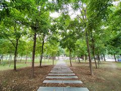-河南师范大学(主校区)