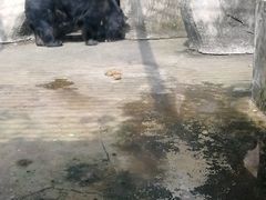 -南昌动物园