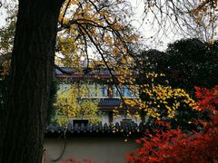 -郑和公园