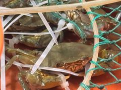 -新农都水产市场