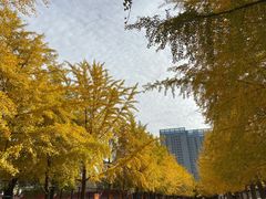 -辽宁大学(崇山校区)