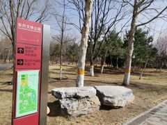 -东升文体公园