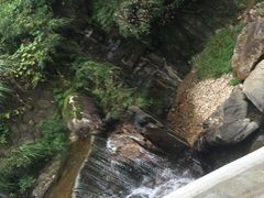 -天目山大树王景区