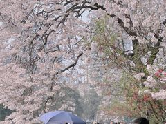 -红星桥(地铁站)