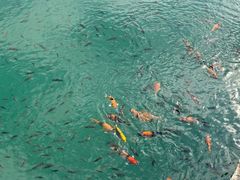 -水濂山森林公园