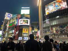 -涩谷区