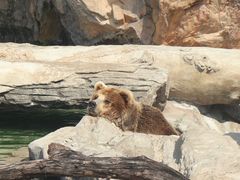 -珠海长隆海洋王国