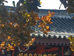 -法门文化景区