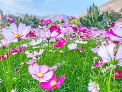 -三亚南山文化旅游区