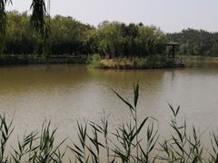 -塘沽森林公园