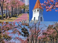 -珠海长隆海洋王国