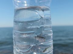 -北戴河东海水浴场