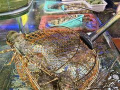 -友强·23年特色海鲜大排档(厦门店)