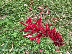 -华南国家植物园-售票处