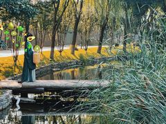 -春风习习