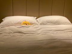 -深圳温德姆至尊酒店