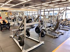 -健身专家Wellness Experts