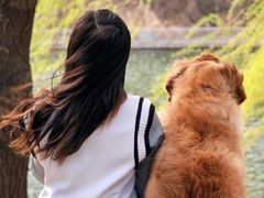 -沉浸北京·团建旅行·密室剧本杀·年会会议轰趴拓展