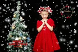 -蜜阁孕味亲子摄影(太奥广场店)