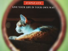 -凯特喵百思猫专科医院