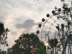 -商丘市人民公园