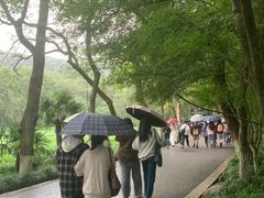-西湖风景区十里琅珰-五云山
