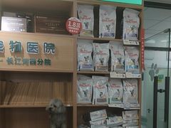 -瑞派长江宠物医院·猫科·外科·24小时夜护(谊城公寓分院)