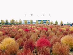 -映月湖中央公园