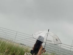-Blue Concept Cafe&Farm·關於藍