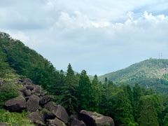 -玉苍山国家森林公园